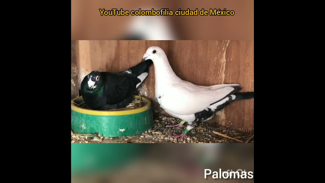 Ejemplos que te ayudarán a reflexionar