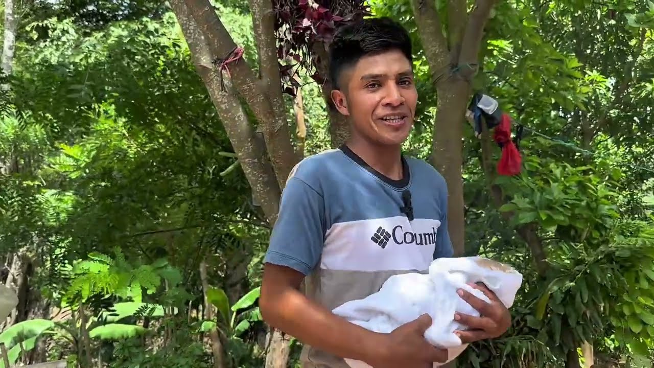 No es ayuda es paternidad