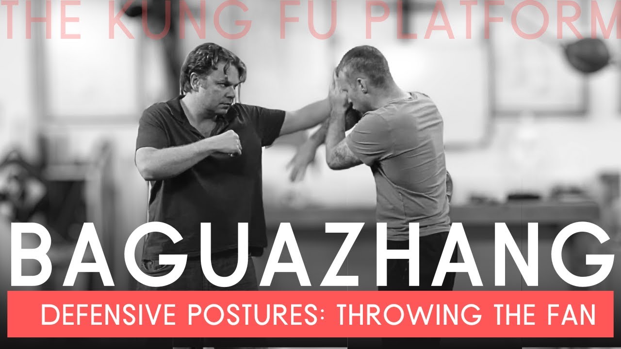 BAGUAZHANG KUNG FU: Defensive Postures