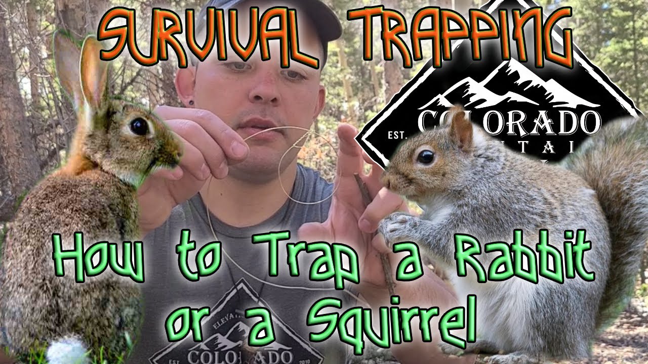 How to Load and Set and Snare Wire