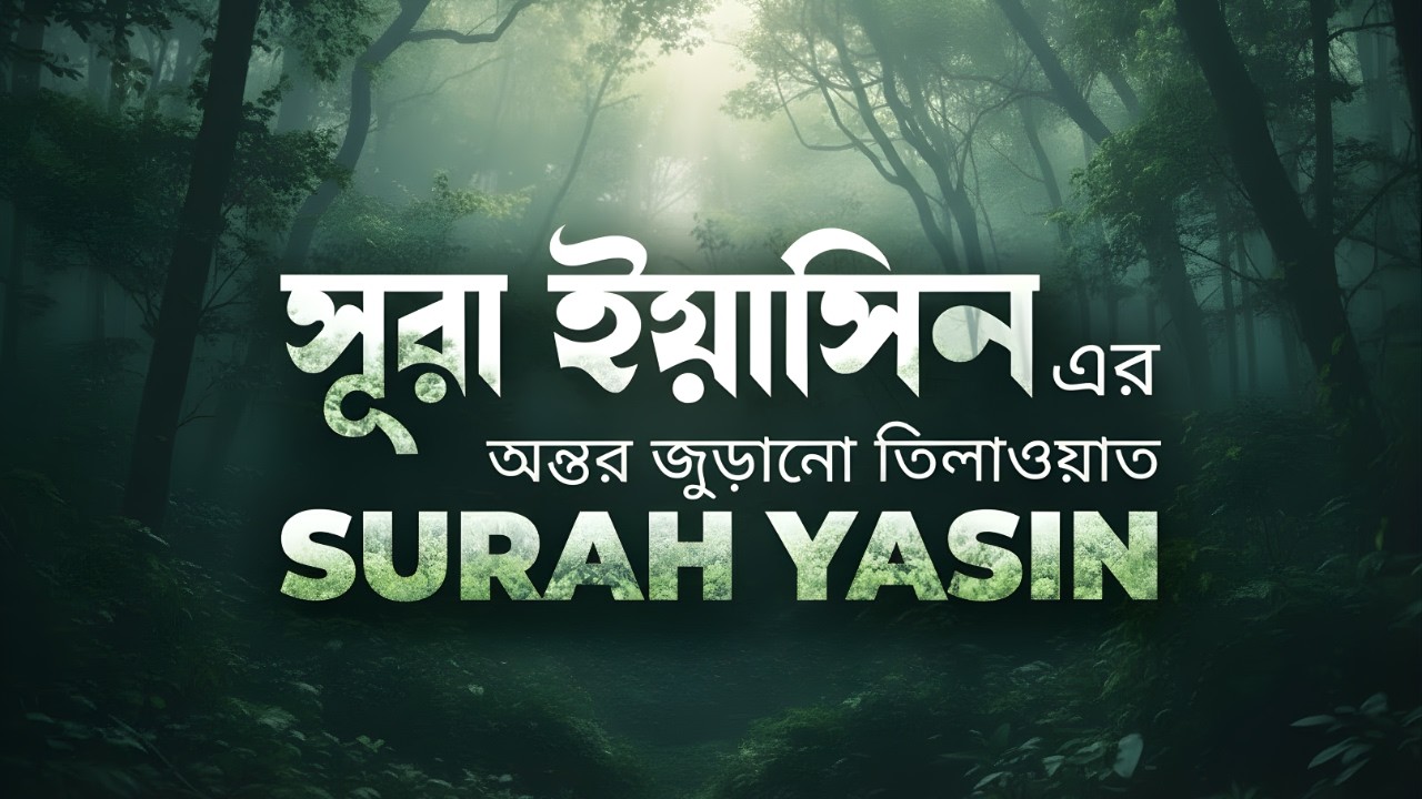 Surah Yaseen | A Divine, Serene Recitation  | সূরা ইয়াসিন | Quran Tilawat