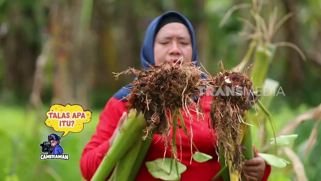 Mantab Rasa Roti Talas Keju Mozzarella | ENAH BIKIN ENAK (27/10/25)