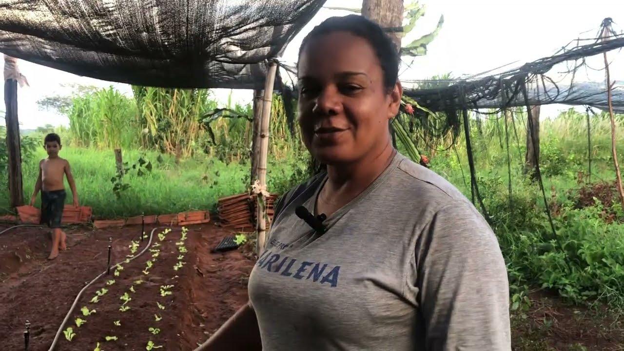 Mexendo na horta 