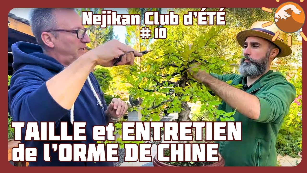 TAILLE de l’ORME de CHINE au MOIS de SEPTEMBRE - Épisode 10 - 🌼 NEJIKAN CLUB ESTIVAL 🌼