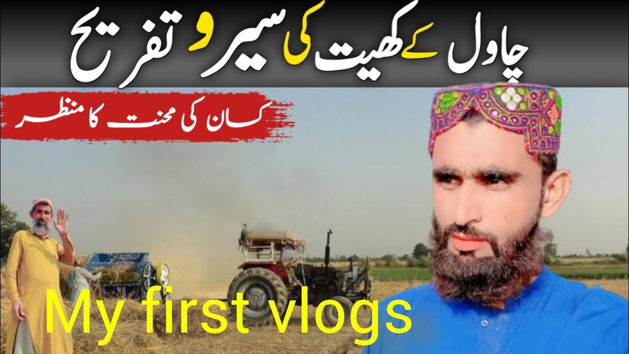 Chawal ke khet ka shero tafri Me first vilogs #Ali Bhai97#for you