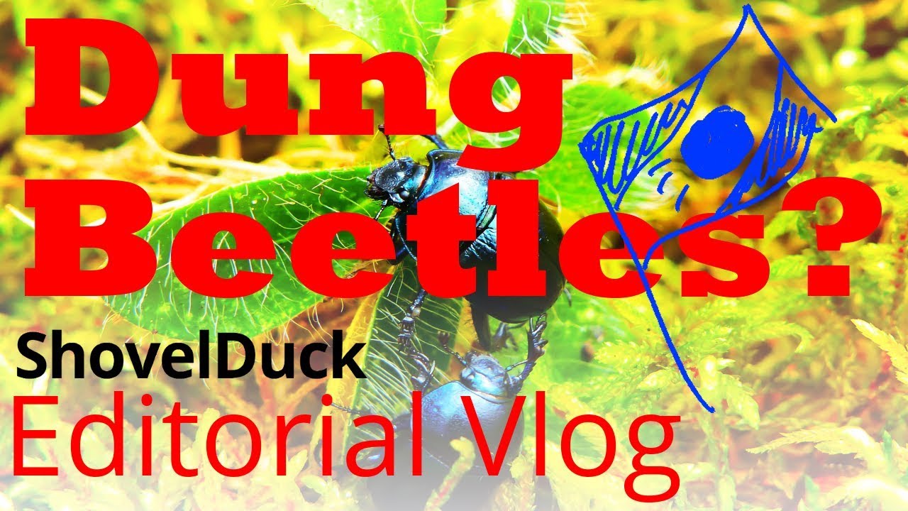 The World's Greatest Geopolitical Threat - ShovelDuck Editorial Vlog
