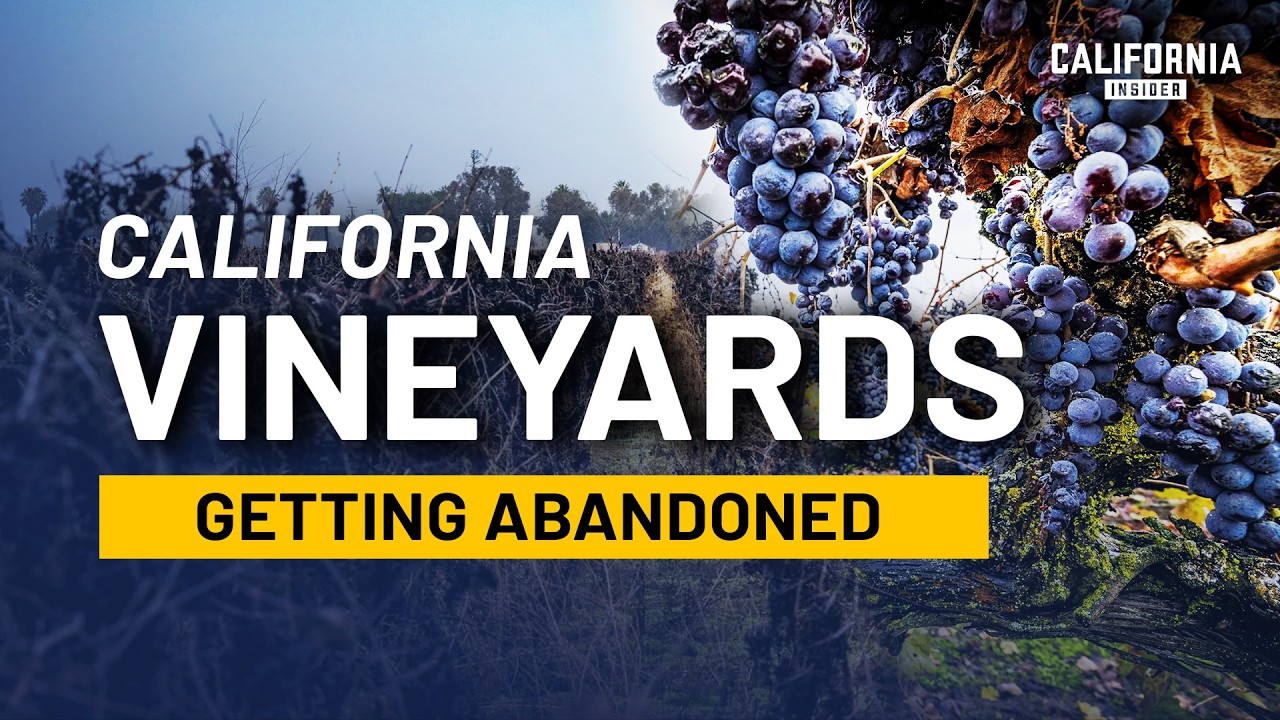 California’s Wine Industry Shift Explained by a Vineyard Owner