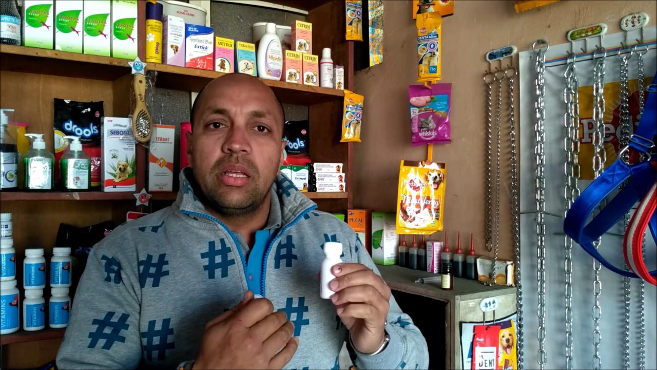 New Born Puppy Deworming | Bhola Shola