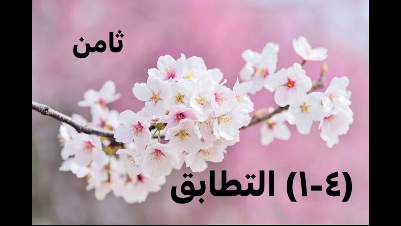 (٤-١) التطابق- رياضيات صف ثامن- المنهج الوطني الكويتي