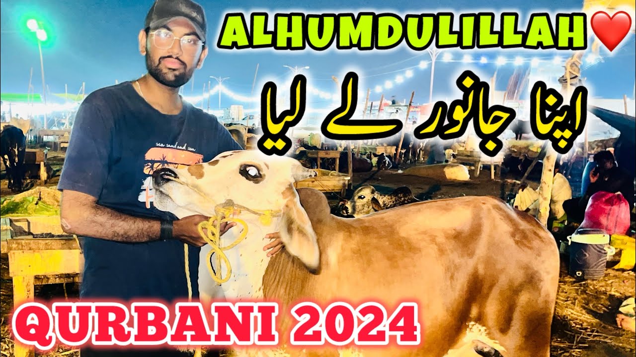 Alhumdulillah❤️ Apna Janwar Leliya | Purchase My Bull | Qurbani 2024 | Cow Mandi 2024 | Cow