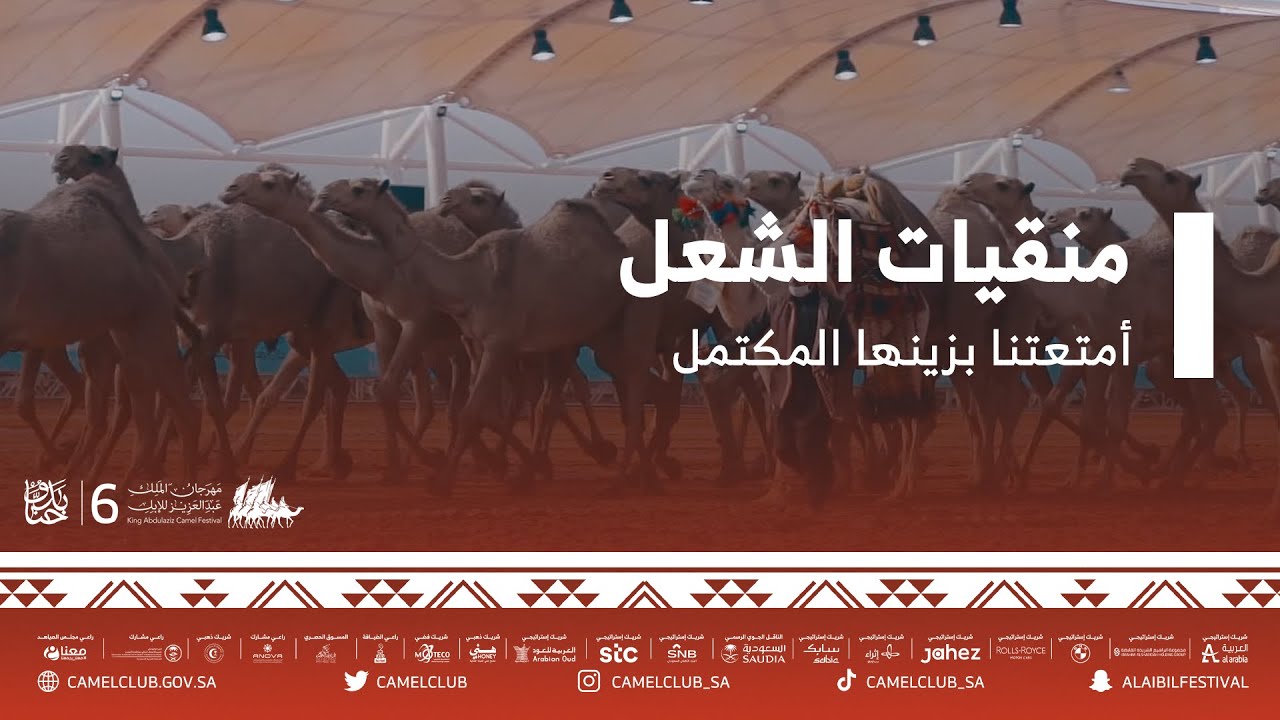 شوط شلفا ولي العهد وعلى الوعد؛ منقيات الشعل أمتعتنا بزينها المكتمل 😍👏.