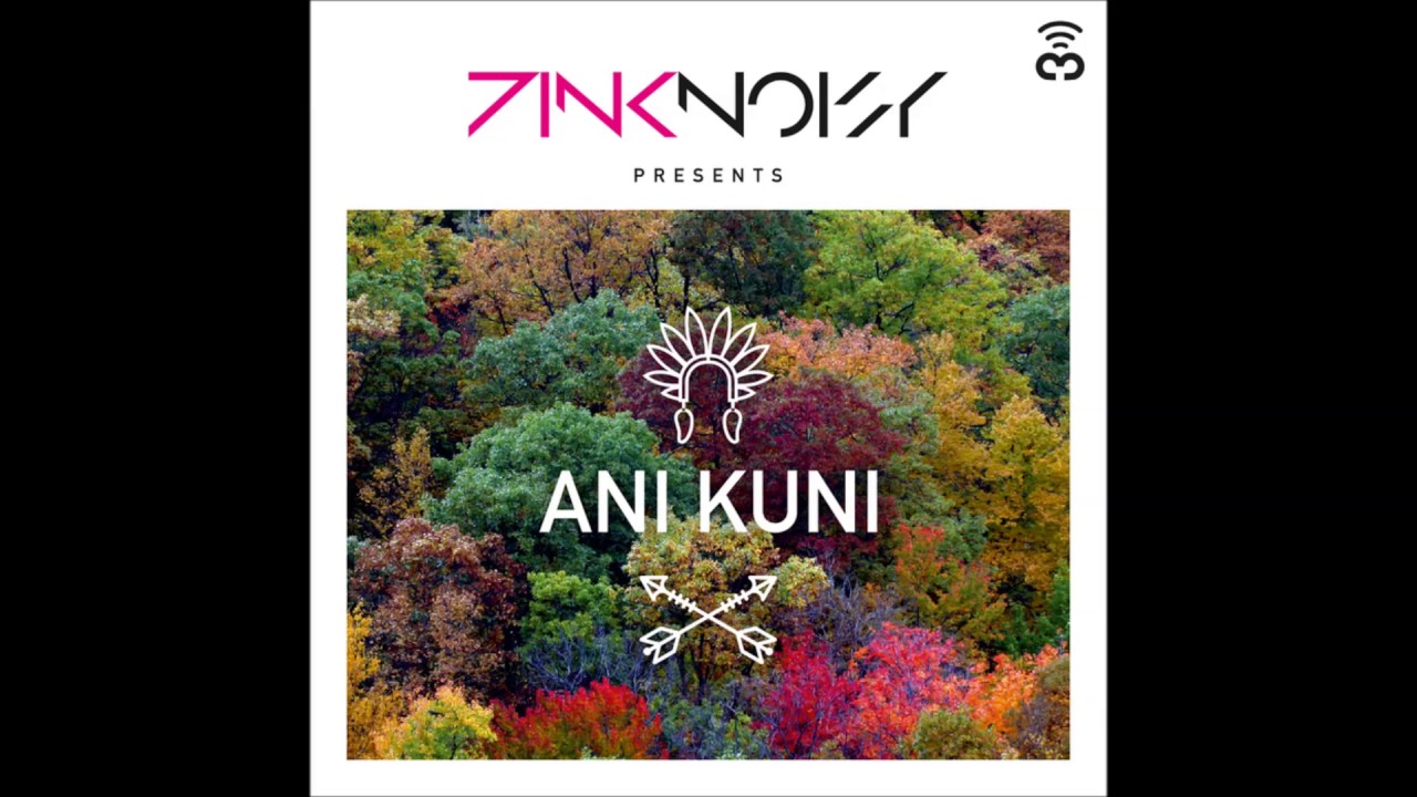 Pink Noisy - Ani Kuni