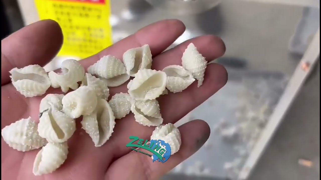 Stelline Pastina Conchiglie Making Machine