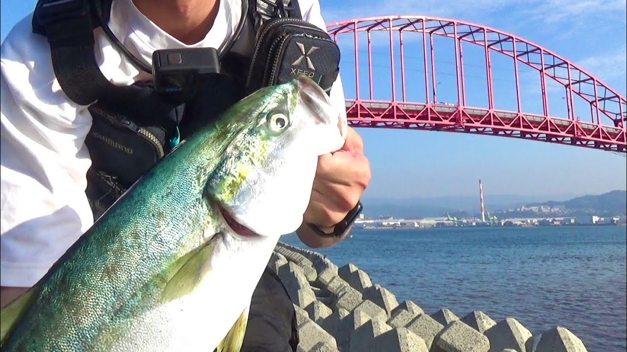 【ショアジギング】ついに来やがったぜおれの獲物が！！