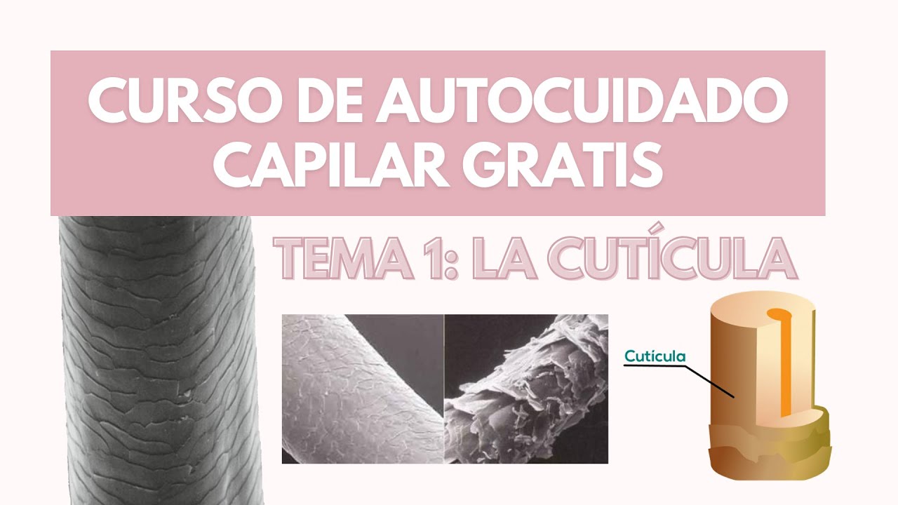 CURSO AUTOCUIDADO CAPILAR: RIZOS + LA CUT&Iacute;CULA