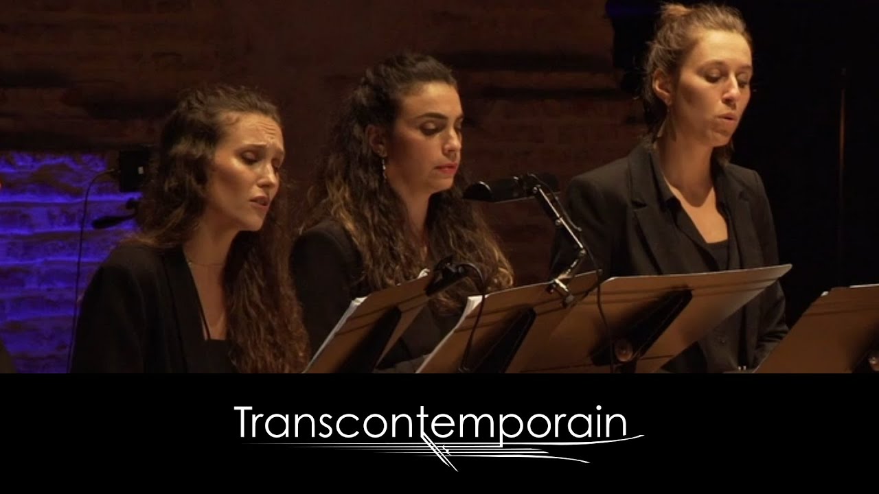 Édith Canat de Chizy, Berceuse - Mon Âme, 2. Mon Âme est en peine - le Transcontemporain