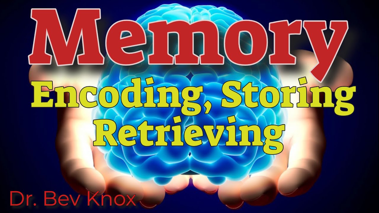Psychology of Memory Encoding, Storing & Retrieving