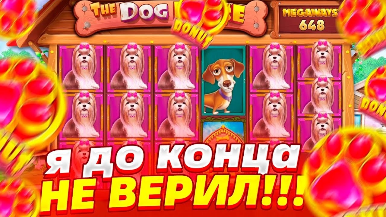 ВАУ! 70 ТЫСЯЧ ЗА СПИН!! Я НЕ ПРОСТО ОТМАЗАЛСЯ, Я ДОЖАЛ СЛОТ DOG HOUSE MEGAWAYS!!
