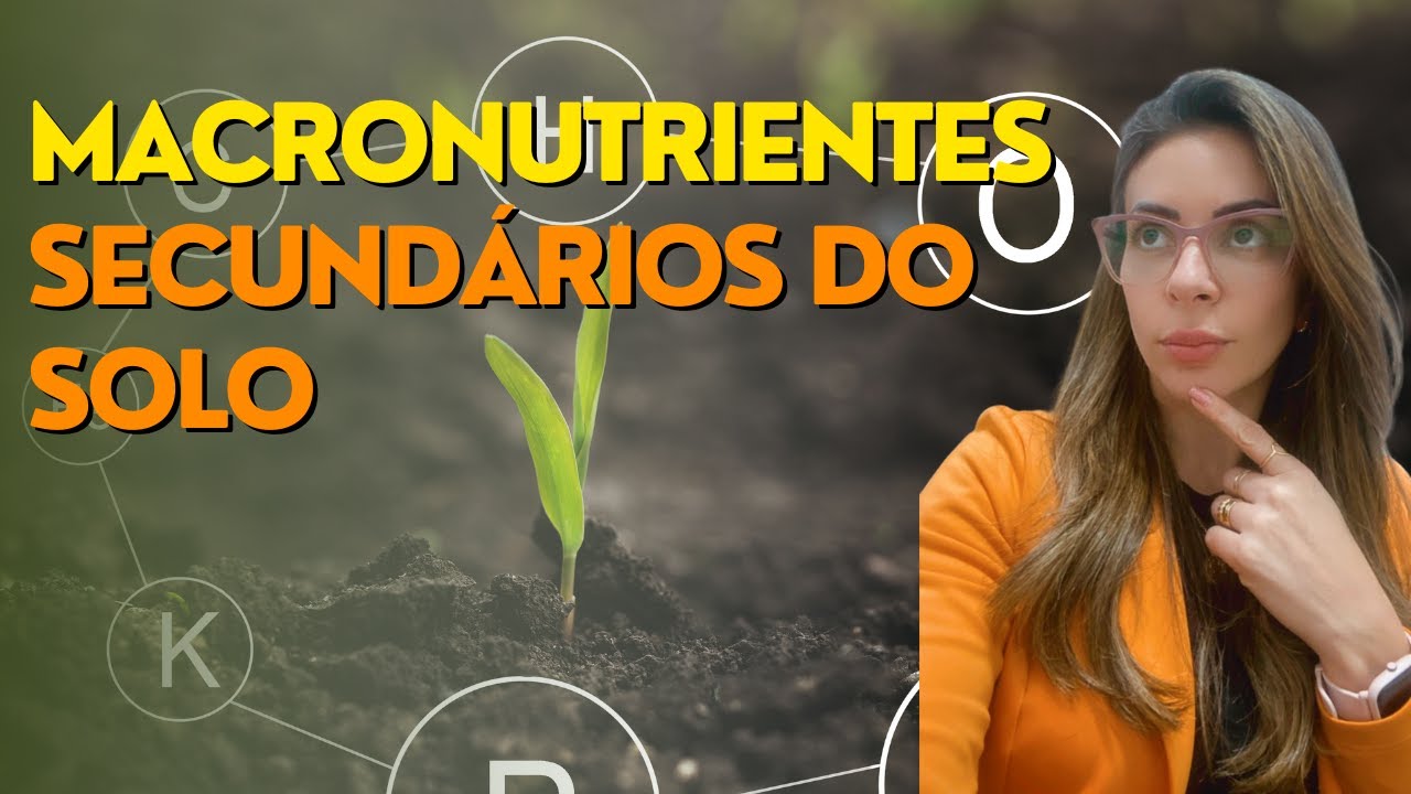 Macronutrientes SECUNDÁRIOS do solo