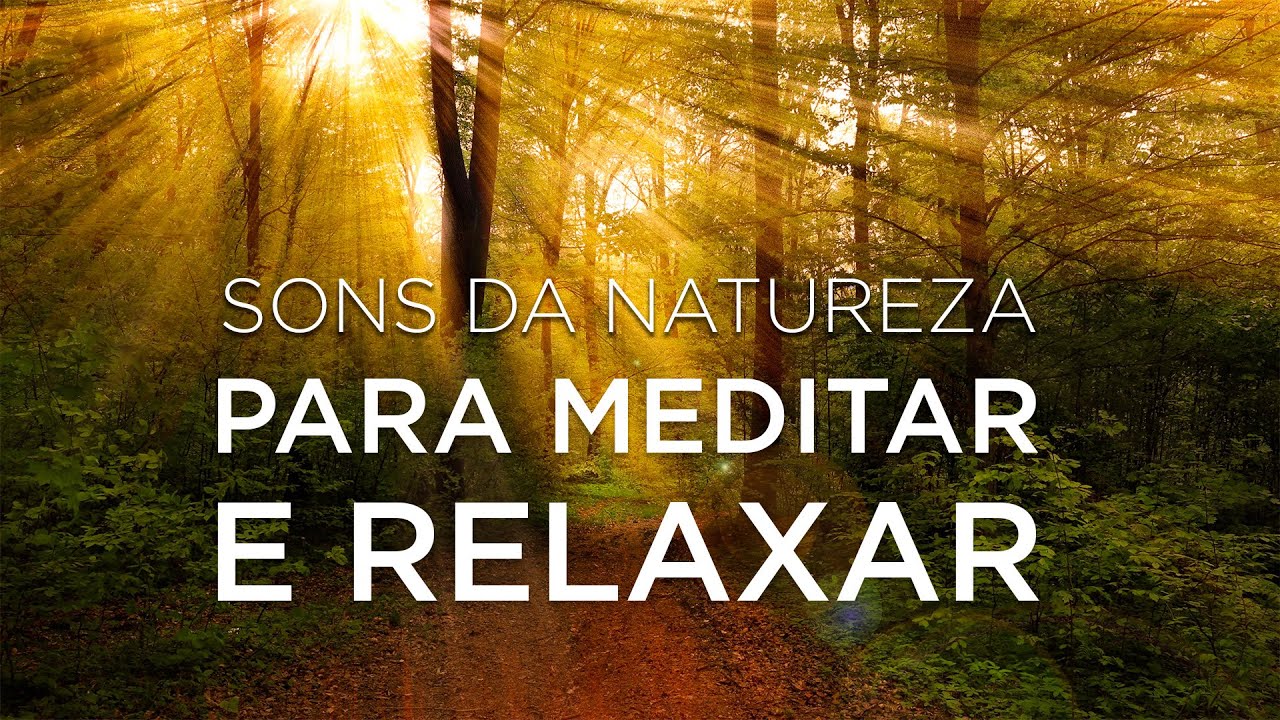 SONS DA NATUREZA PARA MEDITAR E RELAXAR