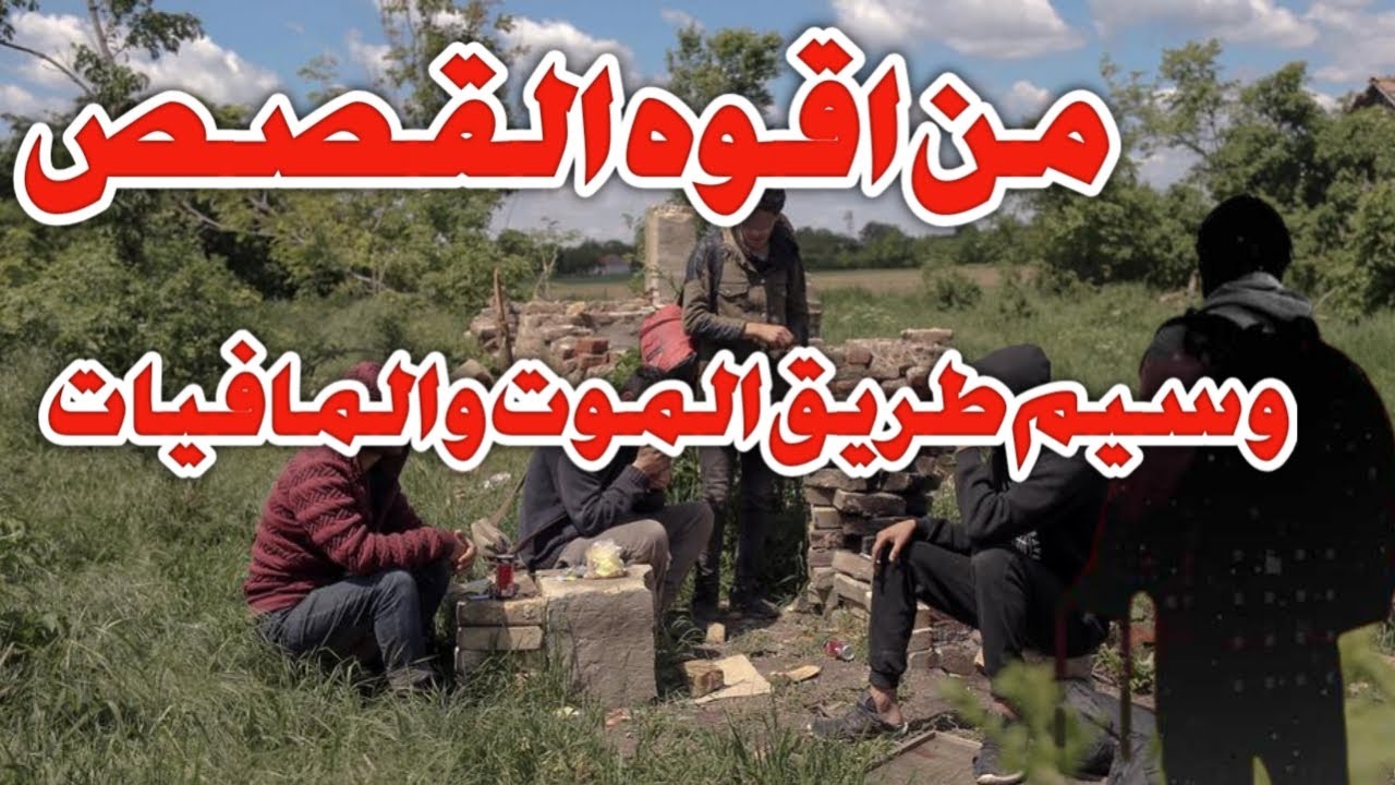 قصة مهاجر من اقوه القصص وسيم وطريق الموت أحداث غريبه في هذا القصة وكيف استطاع أن يحصل على اللجوء
