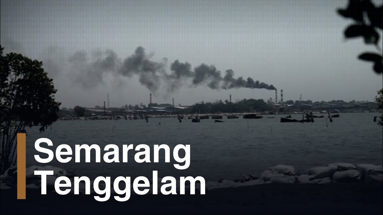 Film Dokumenter Mangrove, Cerita Pesisir Semarang