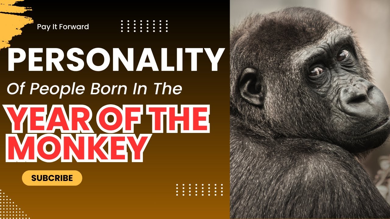 Personality Of People Born In the Year Of The Monkey