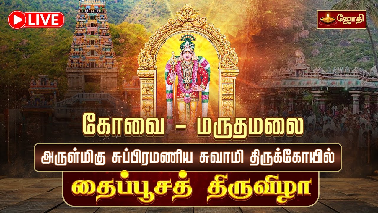 🔴LIVE: கோவை மருதமலை அருள்மிகு சுப்பிரமணிய சுவாமி திருக்கோயில் தைப்பூசத் திருவிழா | JOTHITV