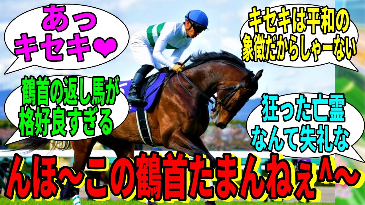 【競馬の反応集】「キセキとかいう愛されすぎてる名馬」に対する視聴者の反応集