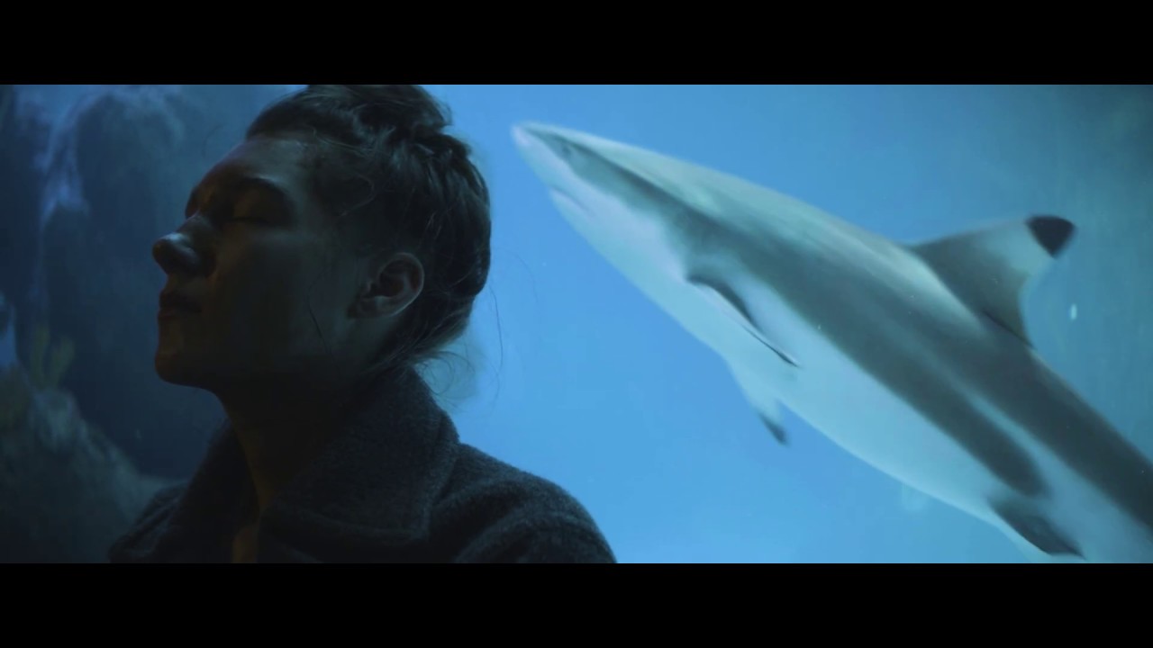 up & down - francis lung