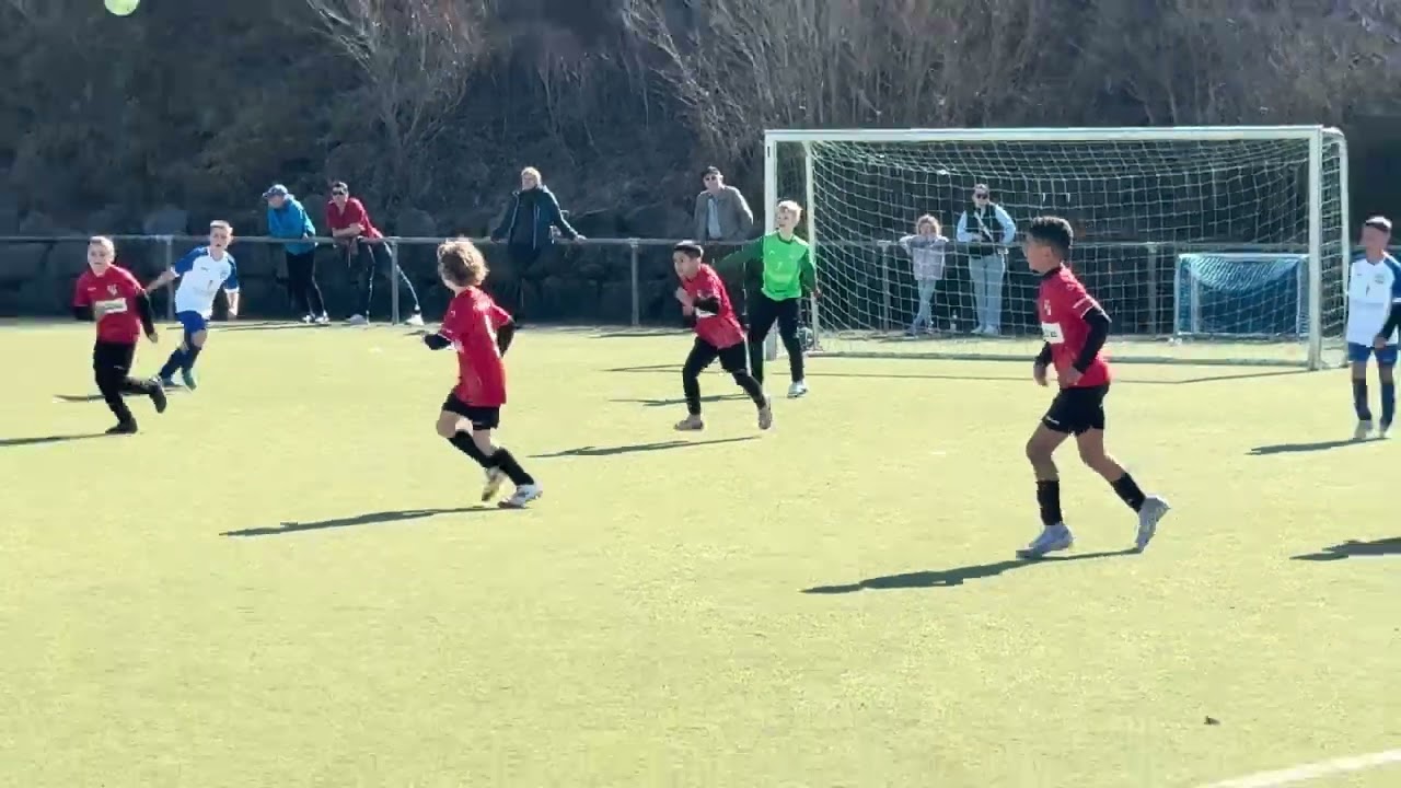 TSG Balingen U10 vs FC Frittlingen U11 in Frittlingen #LV #football #soccer