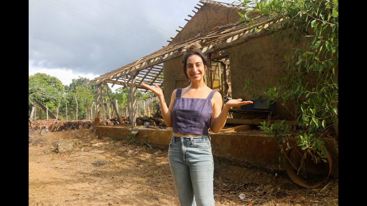 I Bought an Old Panama Mud Home (Casa de Quincha)-- Sugar Cane Farm + Meet my Baby!