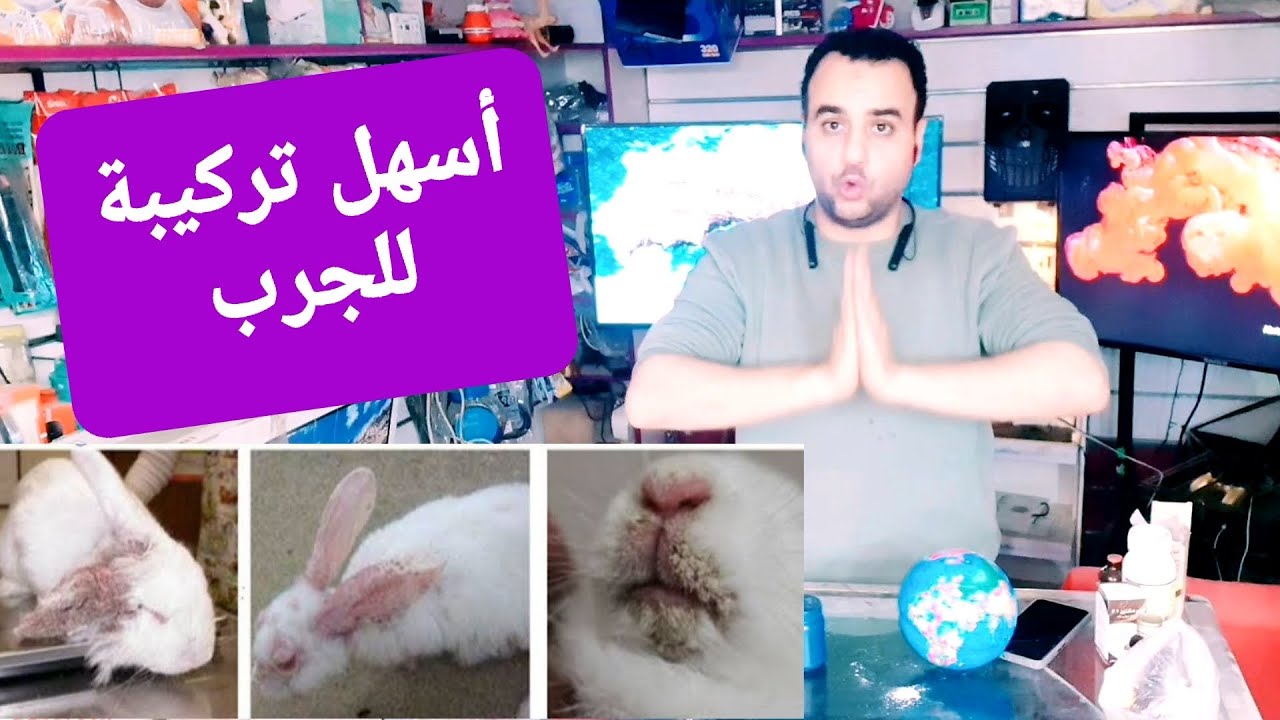 أقوى تركيبة لعلاج الجرب عند الأرانب تماما فى أسرع وقت وعن تجربة 👌هتعملها بنفسك فى ثوانى
