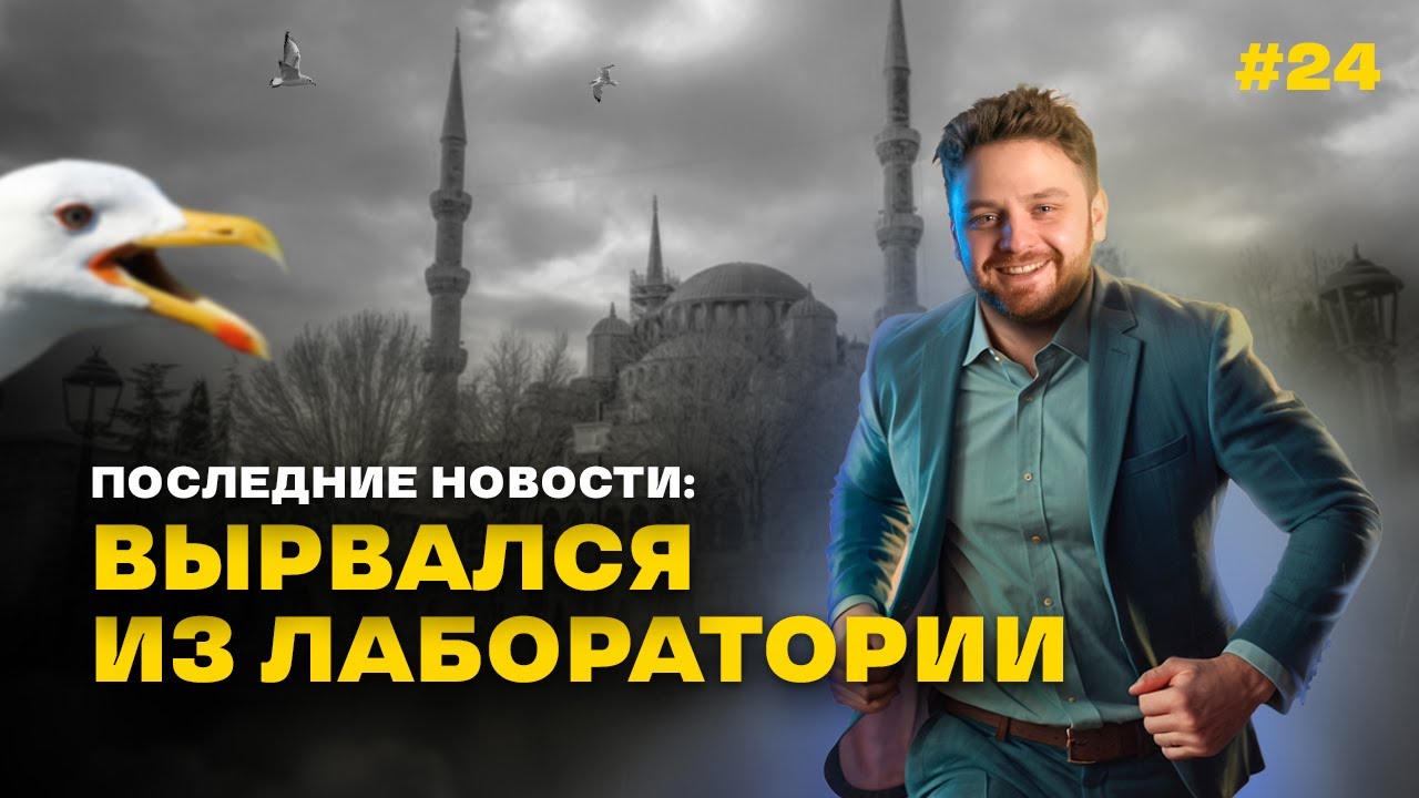 Зубной разгон №24 Каникулы зубного техника