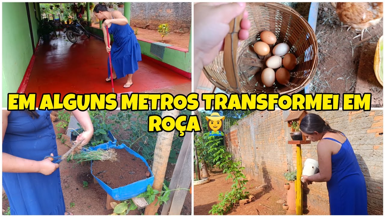 MEU PEDACINHO DE  ROÇA na vila‼️ROTINA REAL DO LAR 🏡..