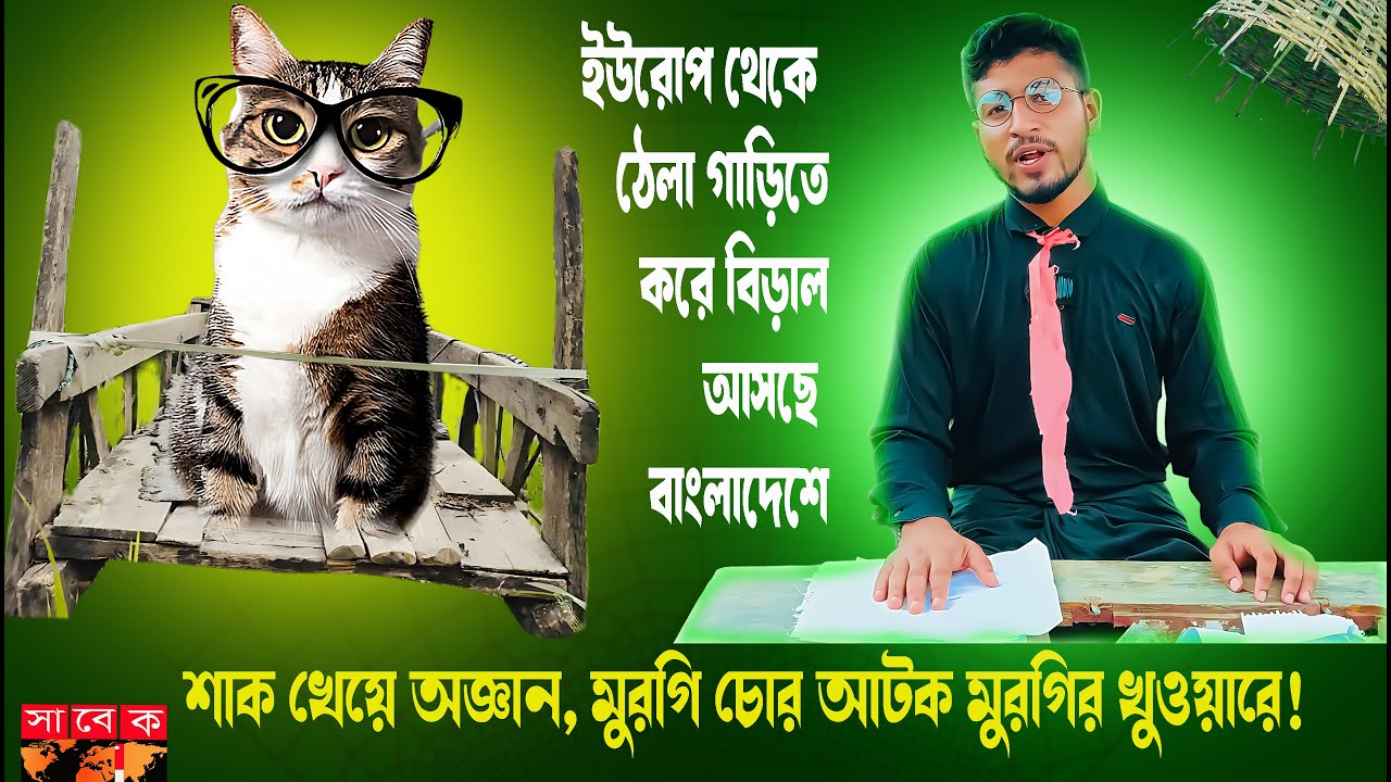 Europe theke thela gari te biral elo Bangladesh! 😳🐱