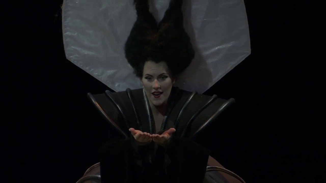 Le Ballet Royal de la Nuit - Ausschnitt