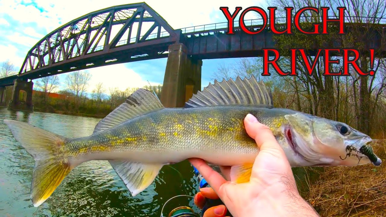 SPRING WALLEYE with SWIMBAITS while walking small river. (Youghiogheny river, PA) (Surprise catch!)