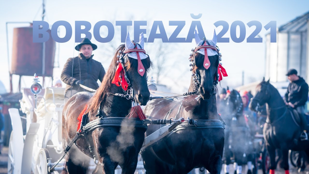 Boboteaza 2021, Cosereni Ialomita