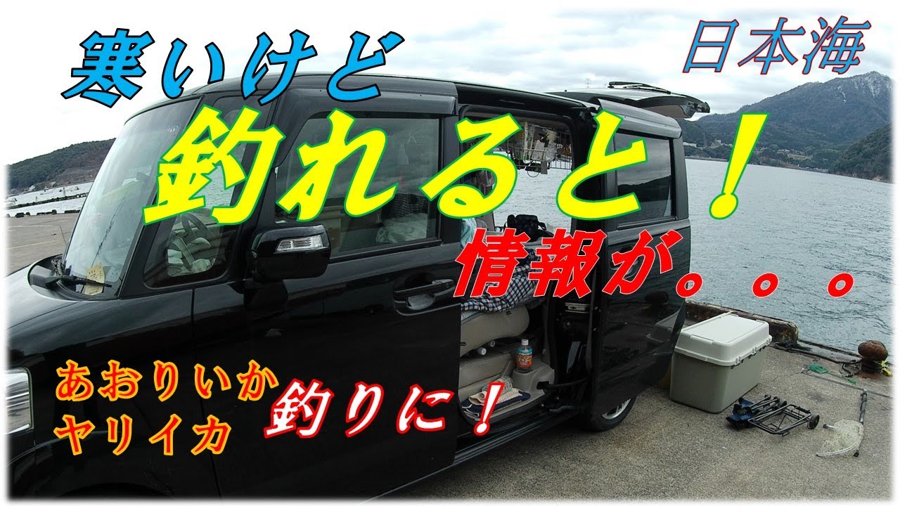 冬でも釣れるアオリイカ　2月上旬福井県へ