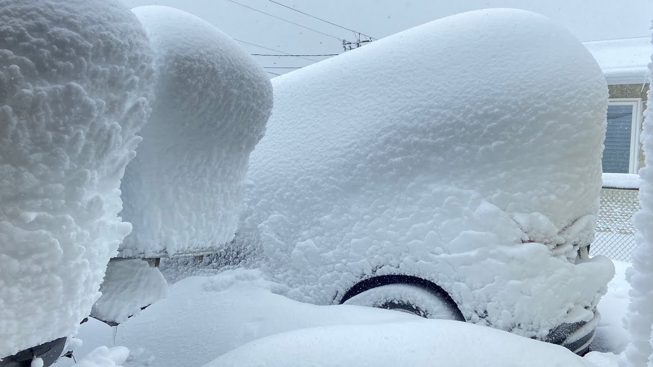 Nhà tôi đã bị bão tuyết Nor’easter chôn vùi rồi…@VH22 Bếp Việt 