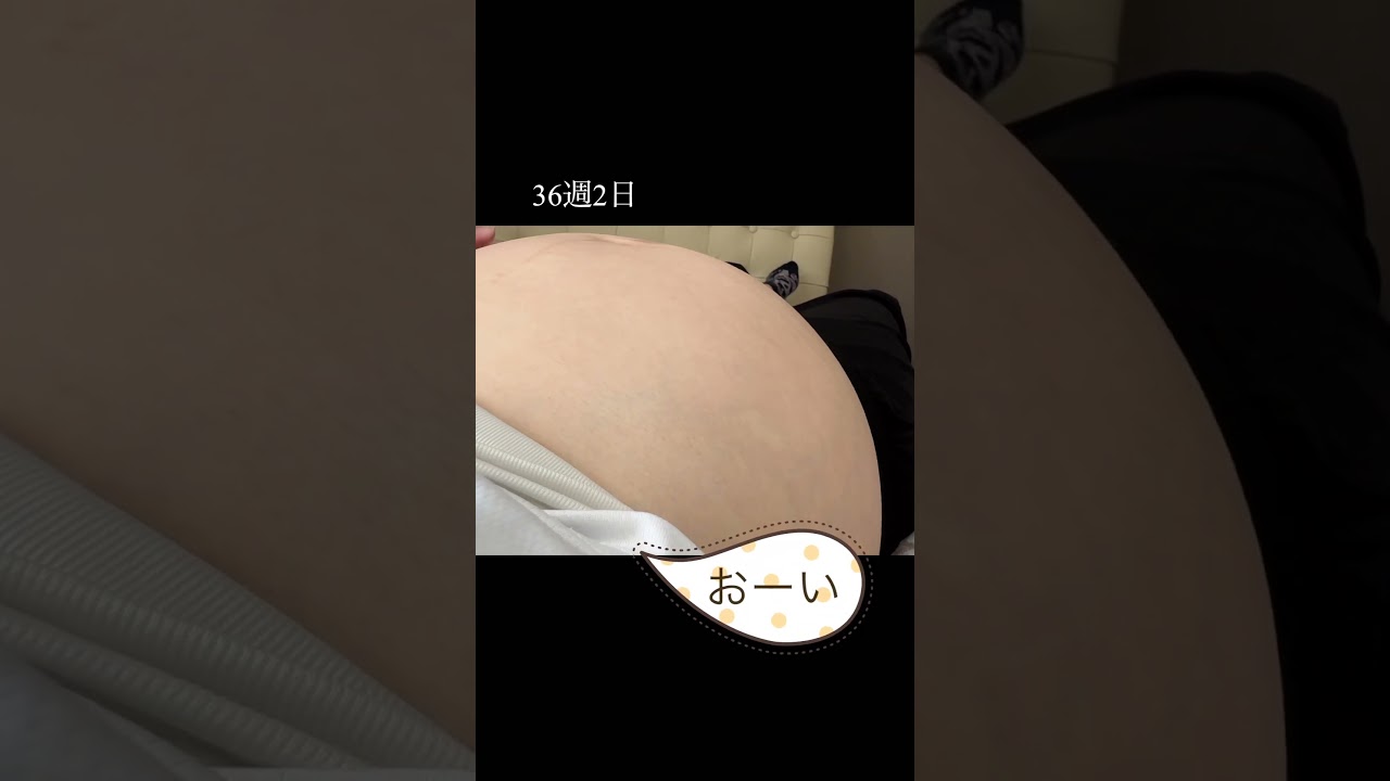 【36w2d】命が応えた瞬間！ #shorts #youtubeshorts #妊娠 #プレママ #出産 #baby ♯fyp ♯vlog #赤ちゃん #pregnancy  #おもしろ #マタニティ
