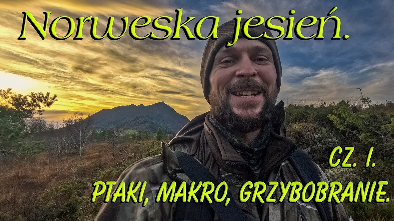 Norweska jesień.Cz.1. Ptaki, makro, grzybobranie.