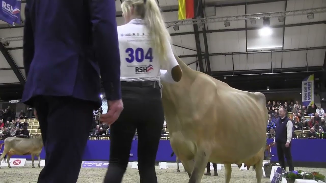 CATTLE.de: Neumünster am Abend 2026 10