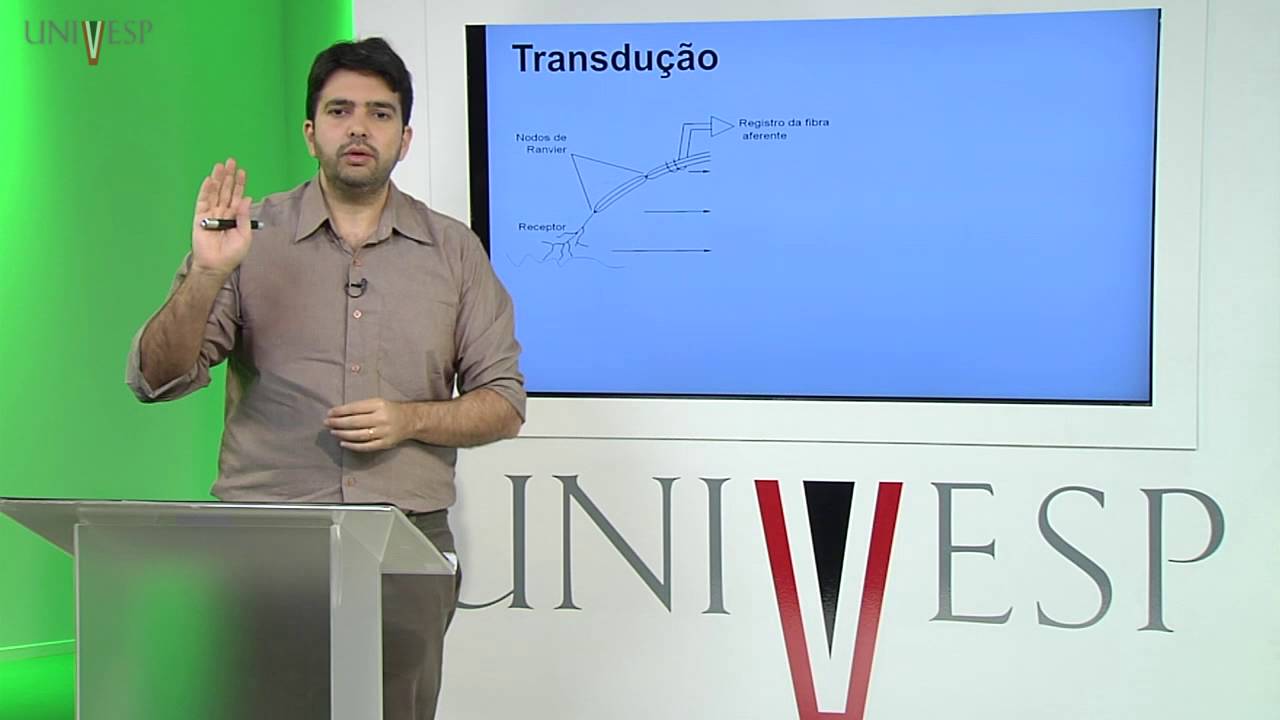 Corpo Humano: Órgãos e Sistemas - Aula 05 - Sistemas Sensoriais