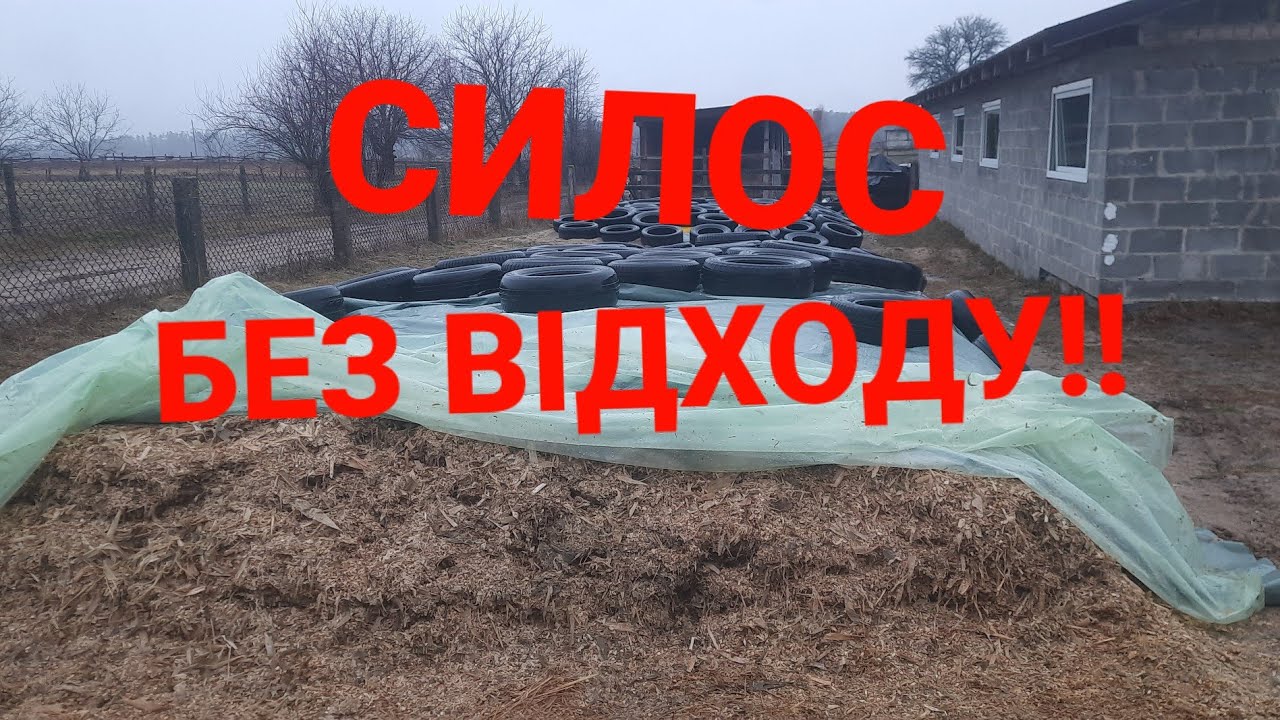 СИЛОС!! ЯК ЗБЕРЕГТИ СИЛОС /// ЯКІ КРОКИ ПРИ ЗАГОТОВЦІ !КОРОВИ БУДУТЬ РАДІ!!