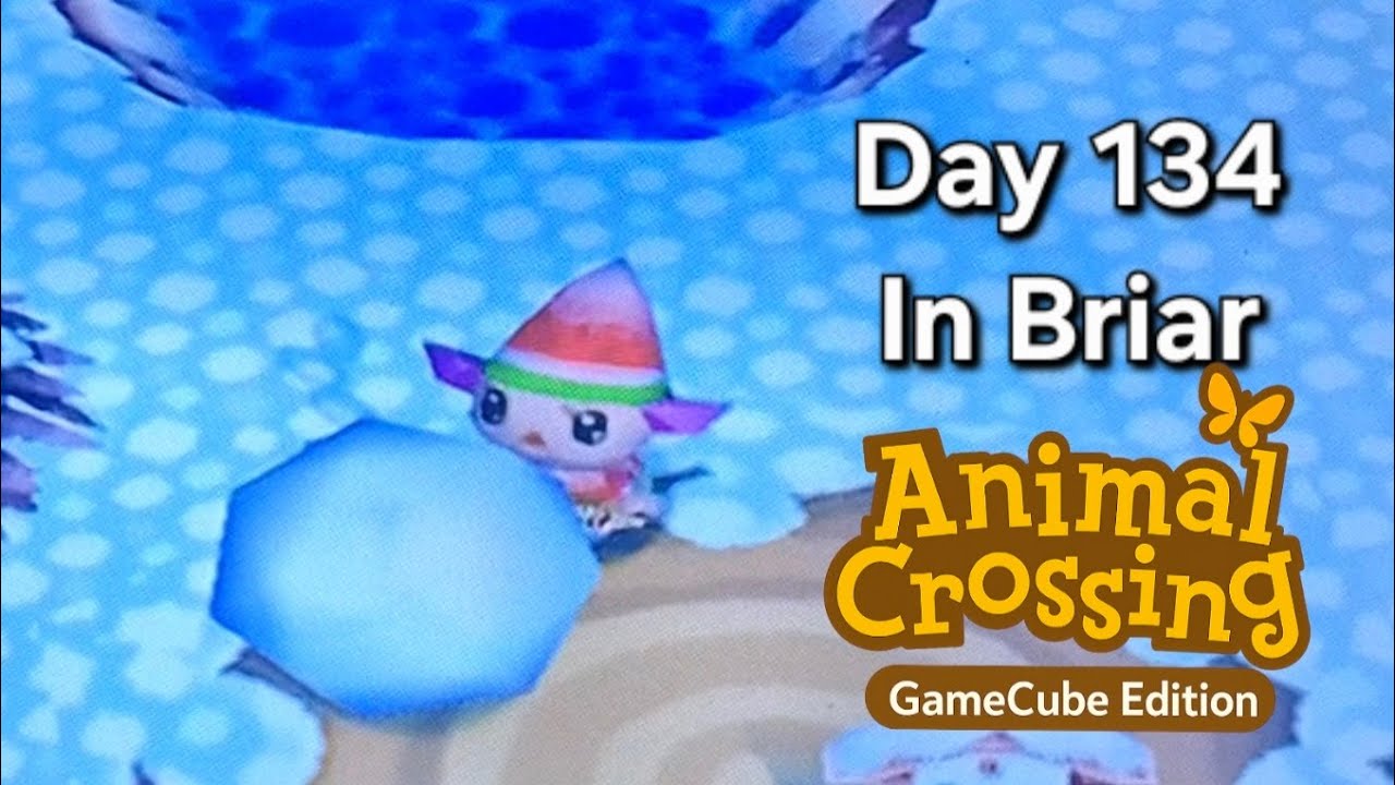 Animal Crossing GameCube – День 134: Снеговиковые проделки, визит Сахары и уютное зимнее поручение