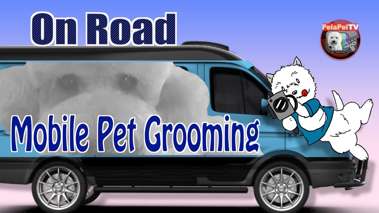 PELUQUERÍA CANINA MÓVIL A DOMICILIO - MOBILE  PET GROOMING ON ROAD