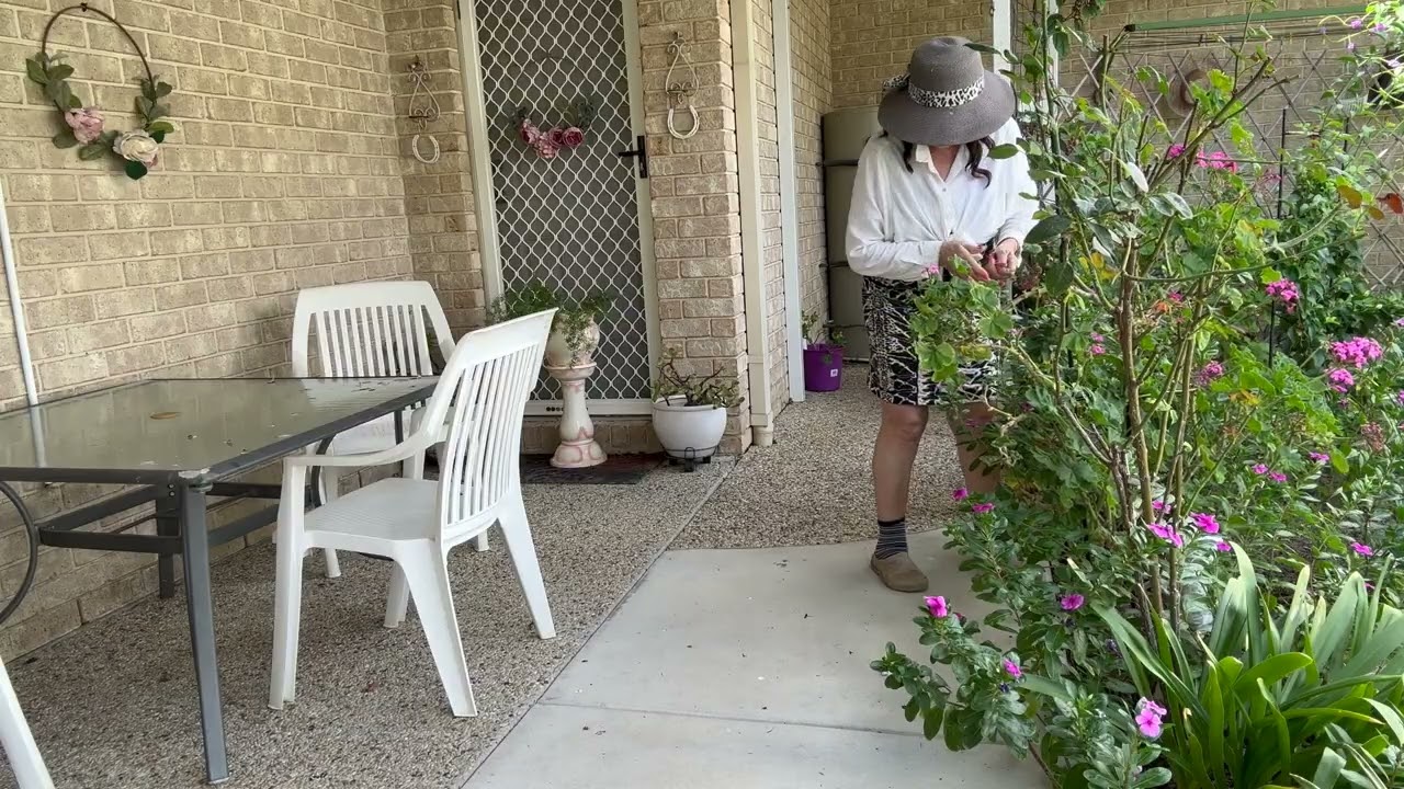 AUSTRALIA - Pracuje z tylu domu  Koszenie, co rosnie w ogródku i co sie dzieje   Jest dużo pracy.