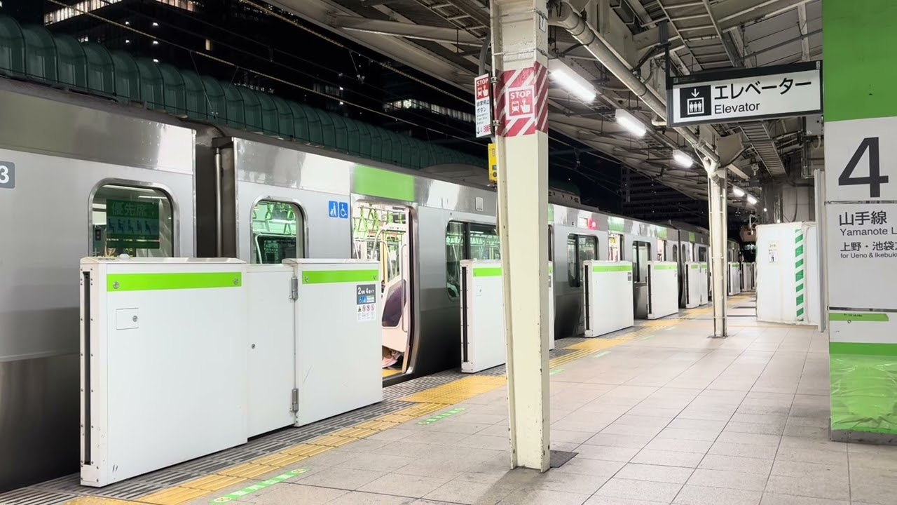 【人による雑音なし】東京駅4番線 JRE-IKST-010-01